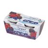 yogurt-magro-fruttidibosco-250.jpg